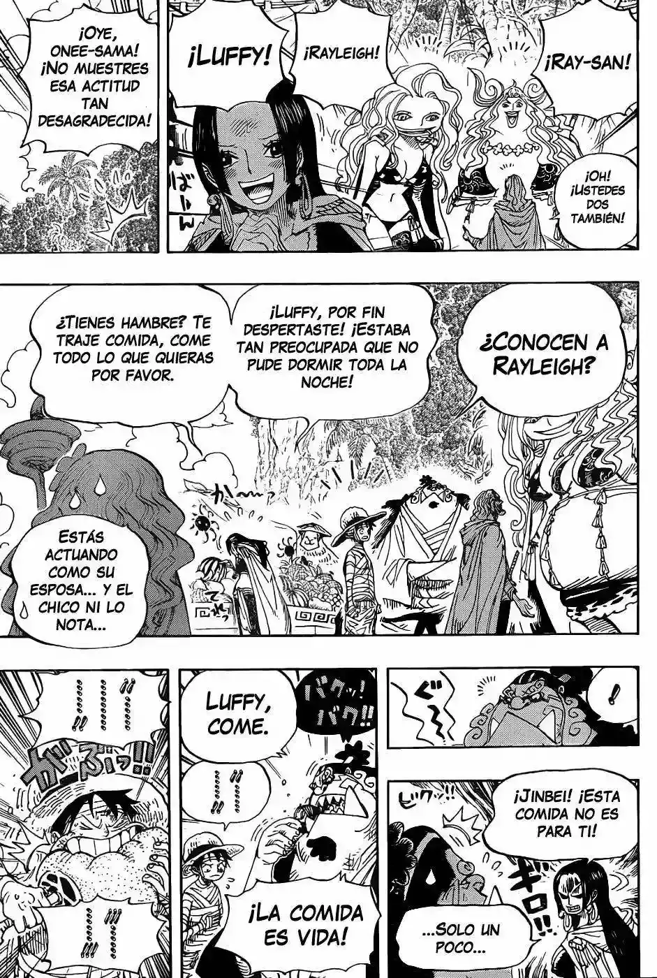 One Piece capítulo 591 página 8