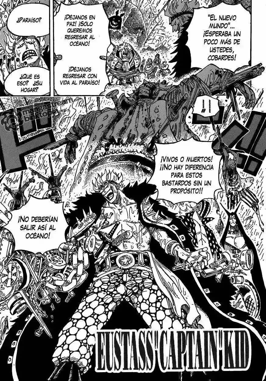 One Piece capítulo 594 página 13