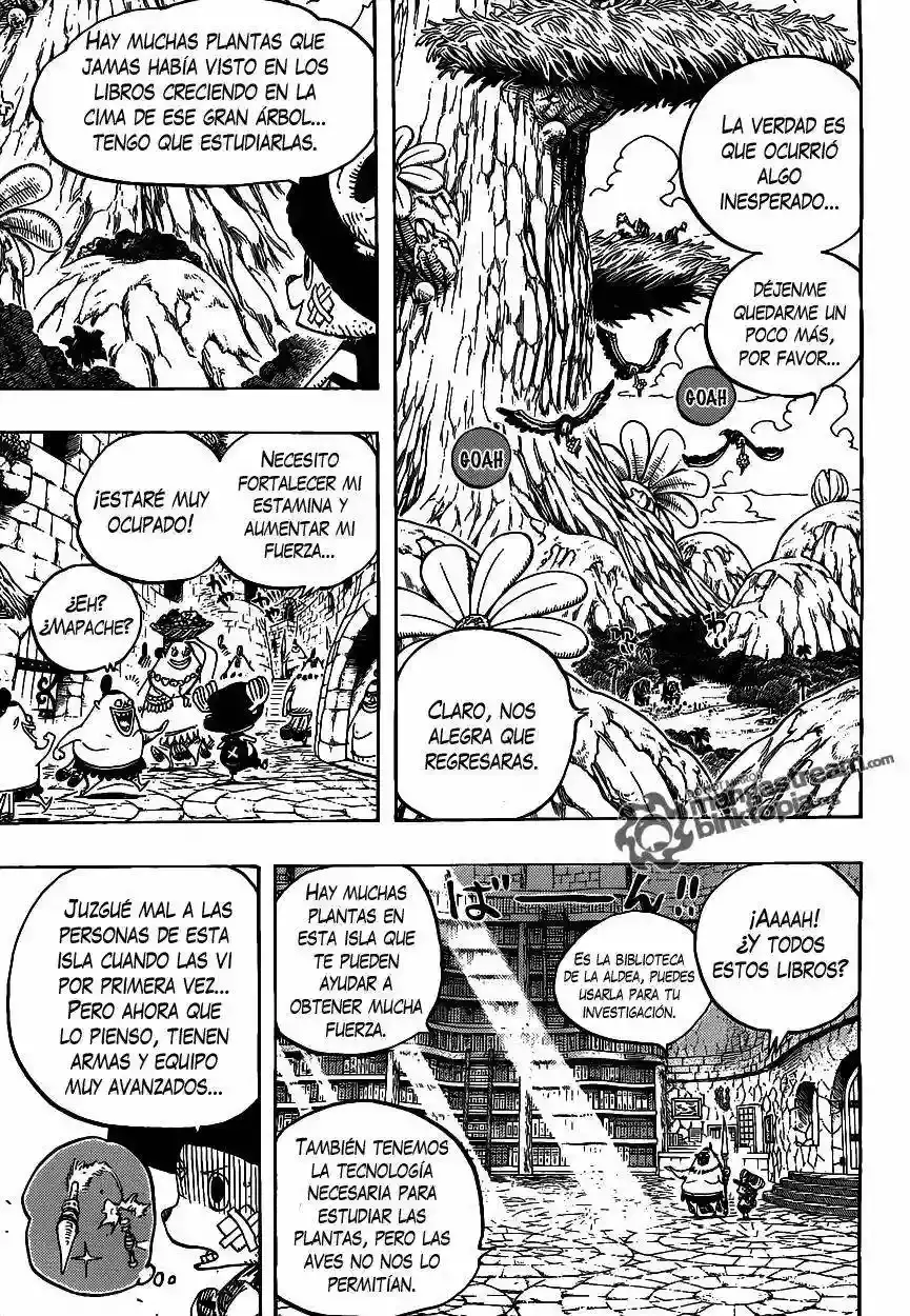 One Piece capítulo 595 página 12