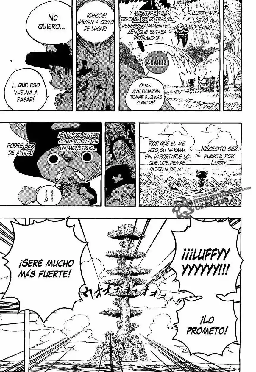 One Piece capítulo 595 página 14