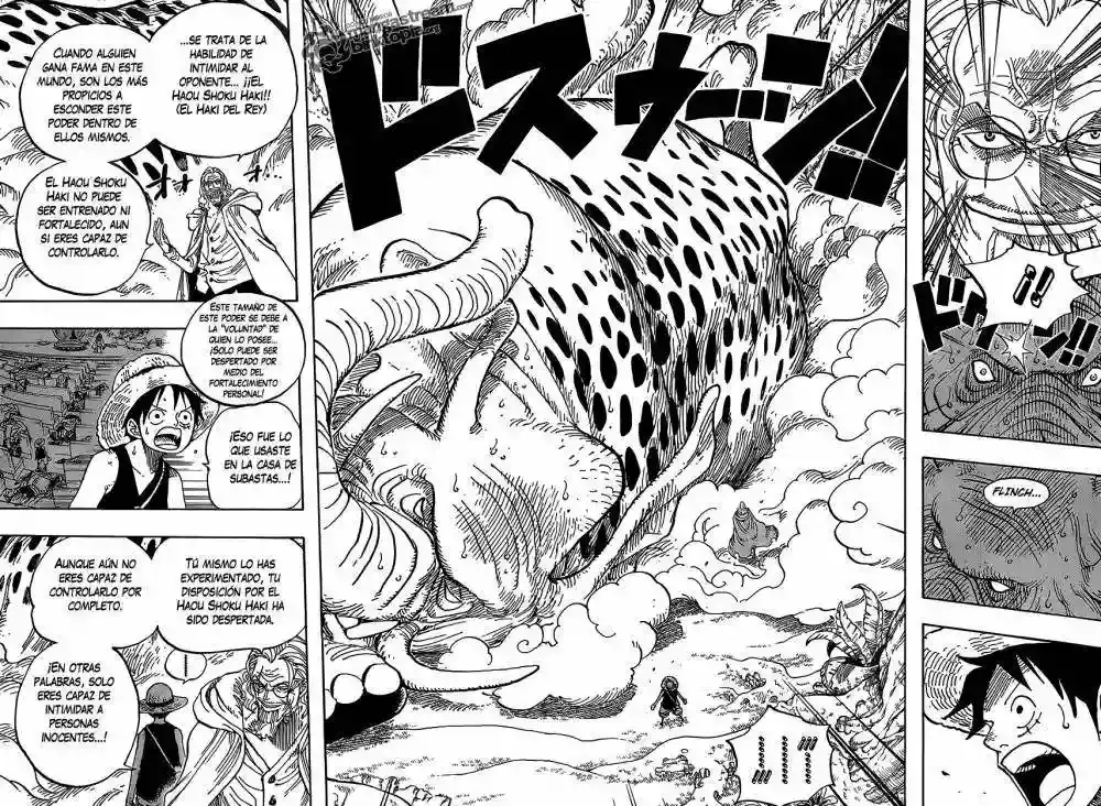 One Piece capítulo 597 página 14