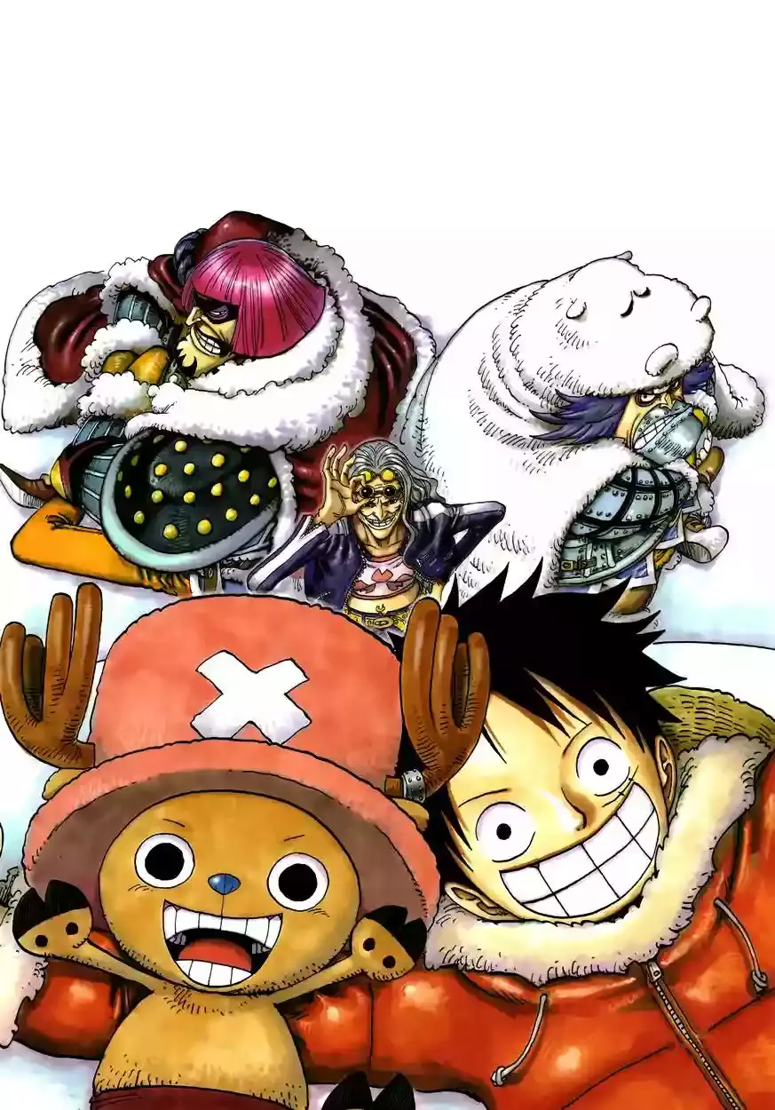 One Piece capítulo 609 página 20