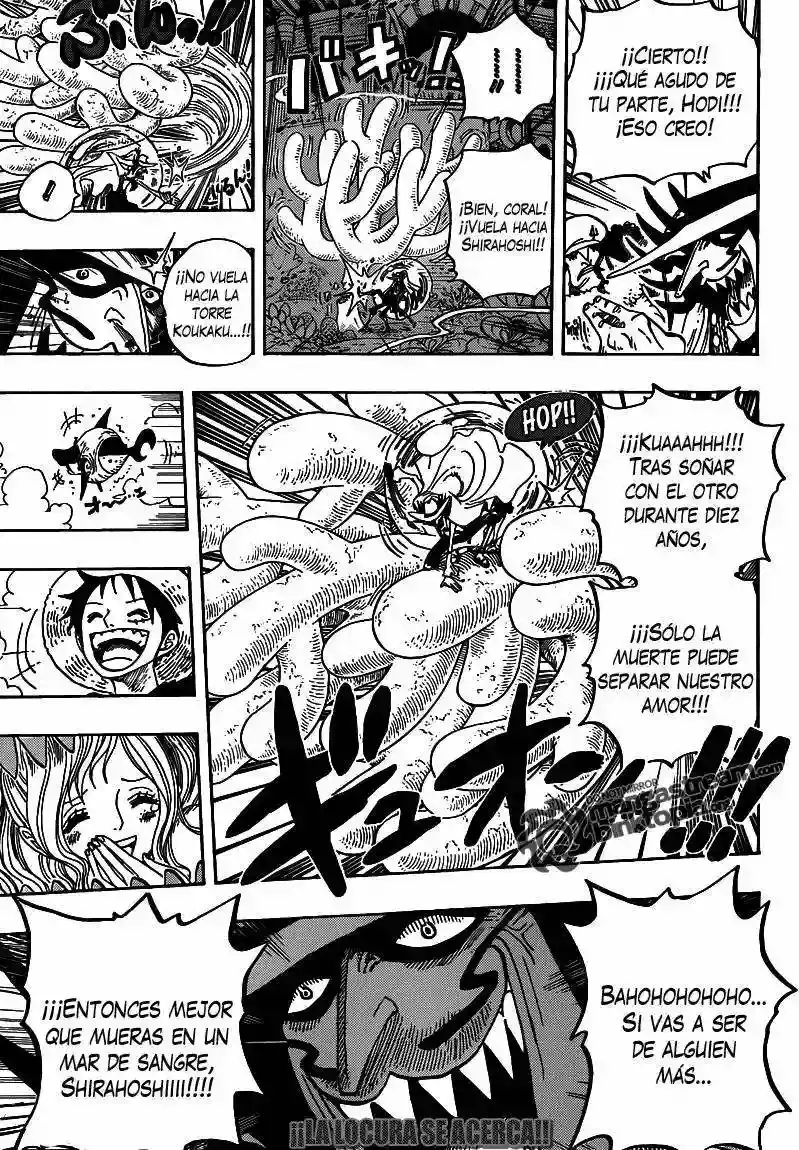 One Piece capítulo 616 página 16
