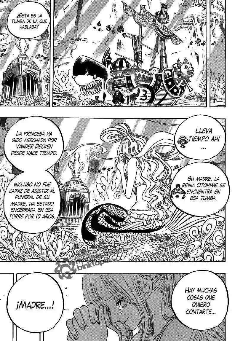 One Piece capítulo 619 página 14