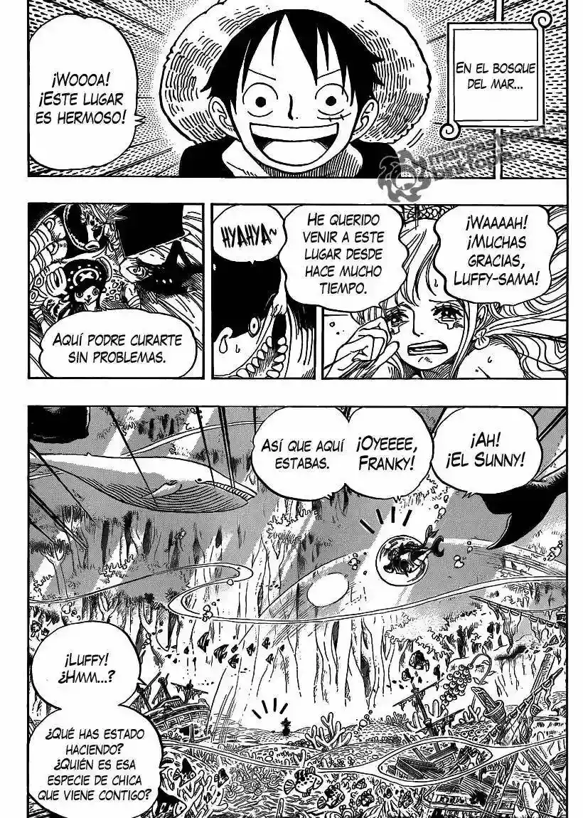 One Piece capítulo 619 página 9