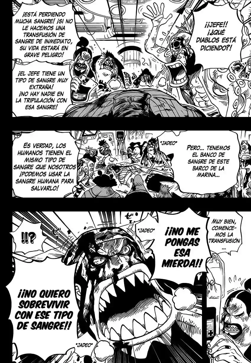 One Piece capítulo 623 página 15