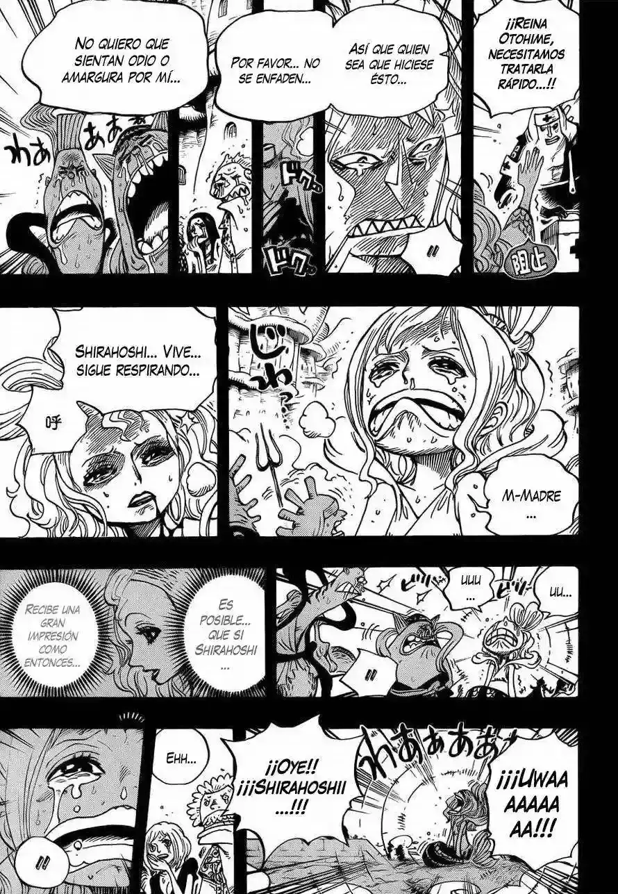 One Piece capítulo 626 página 18