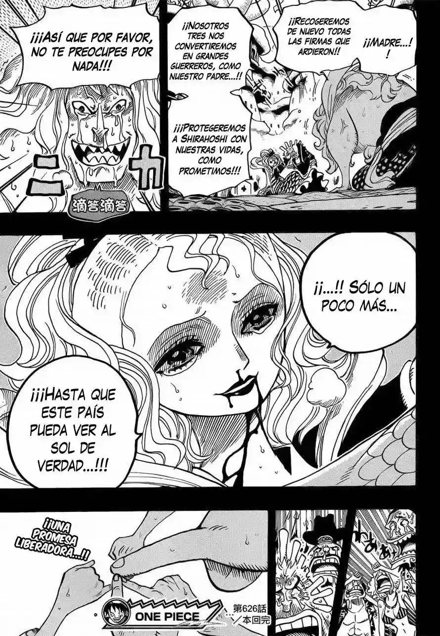 One Piece capítulo 626 página 20