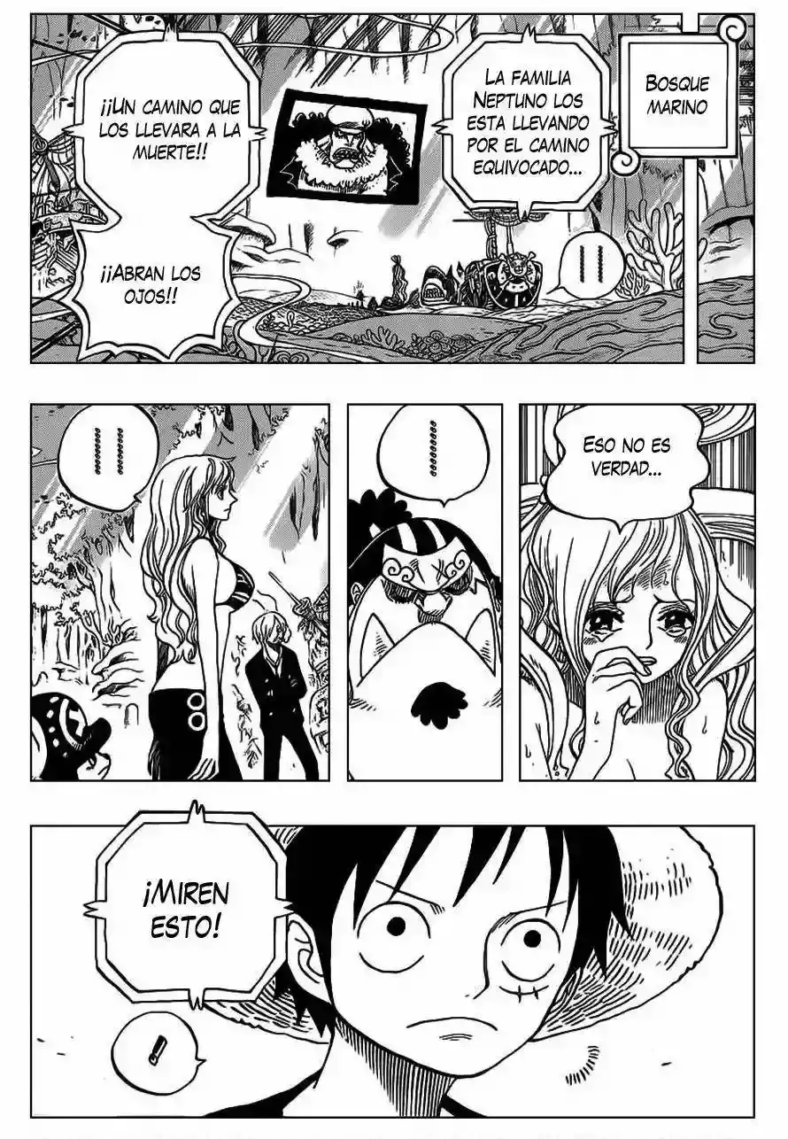 One Piece capítulo 628 página 9