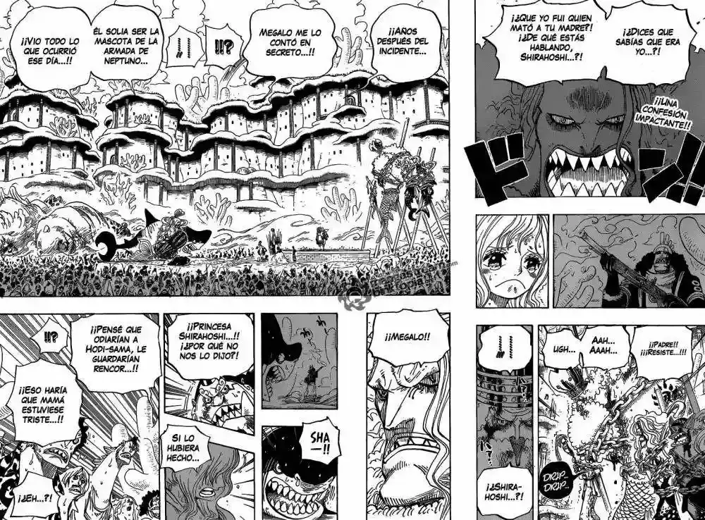 One Piece capítulo 633 página 3