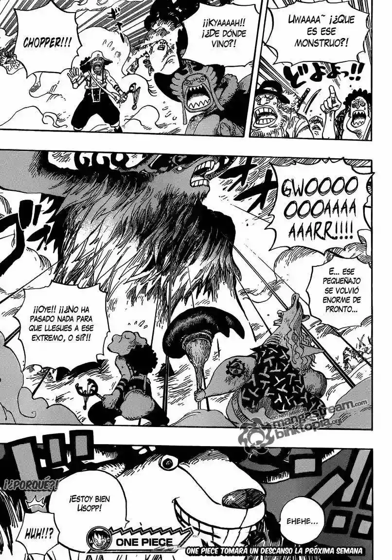 One Piece capítulo 645 página 19