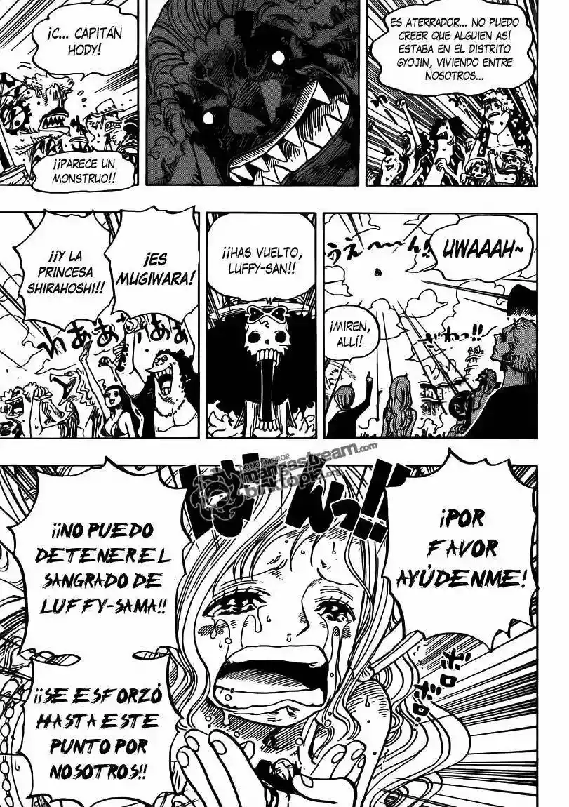 One Piece capítulo 648 página 13