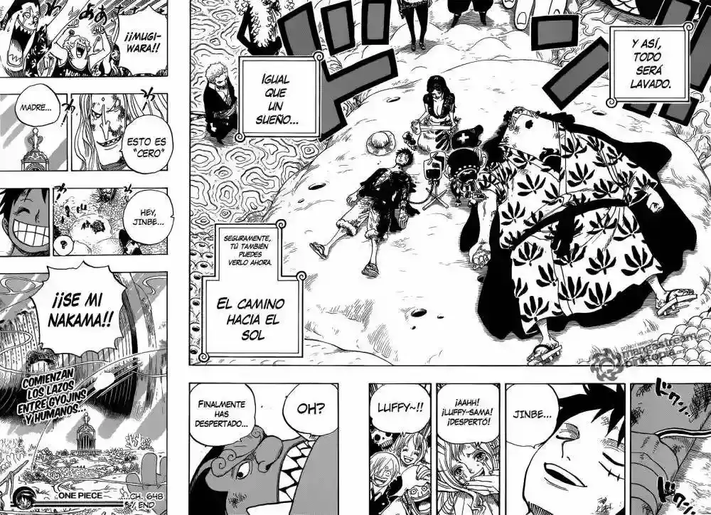 One Piece capítulo 648 página 18
