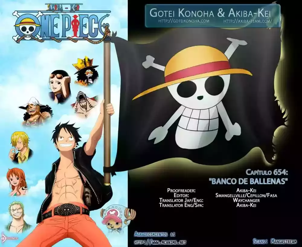 One Piece capítulo 654 página 18