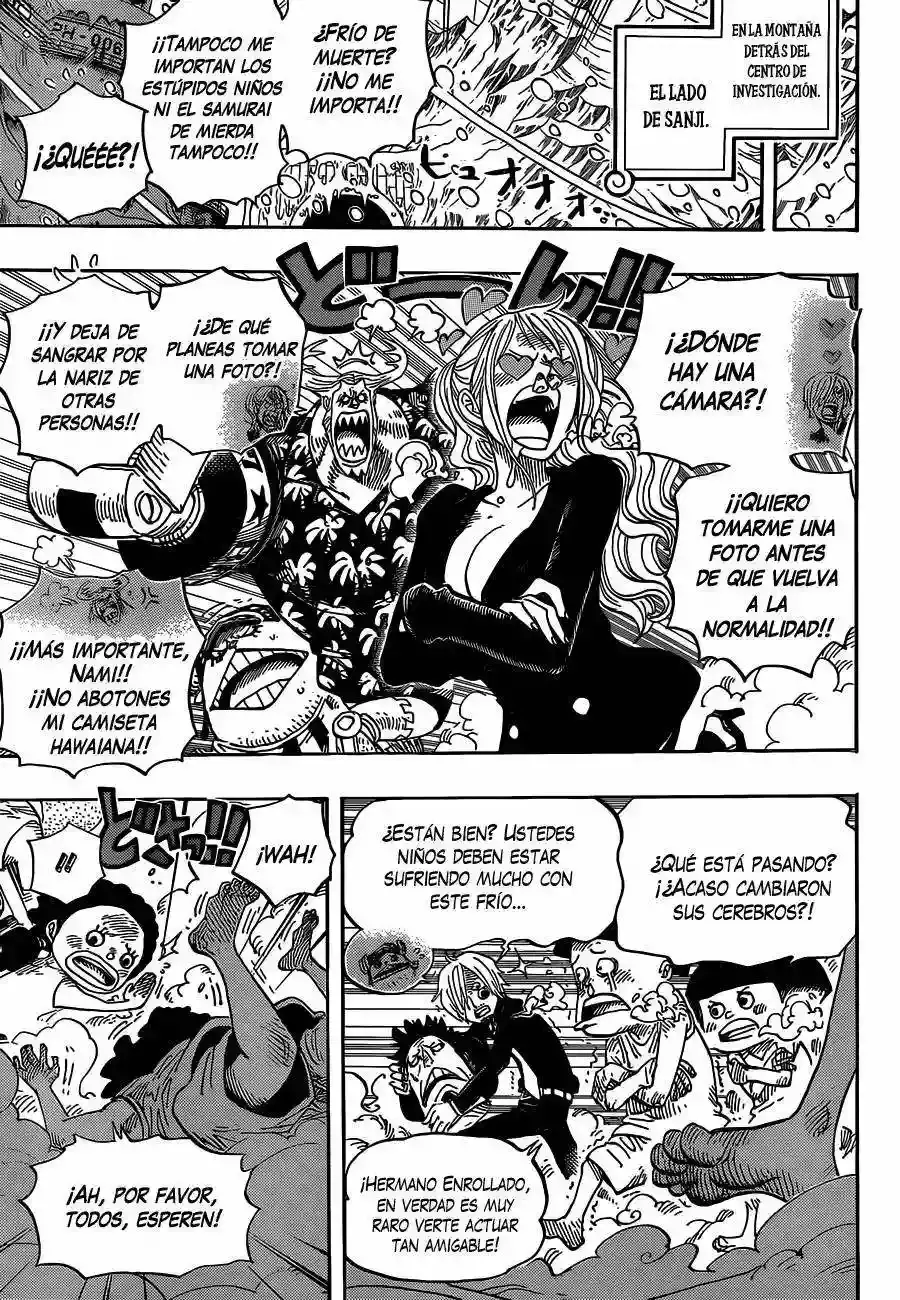 One Piece capítulo 663 página 10