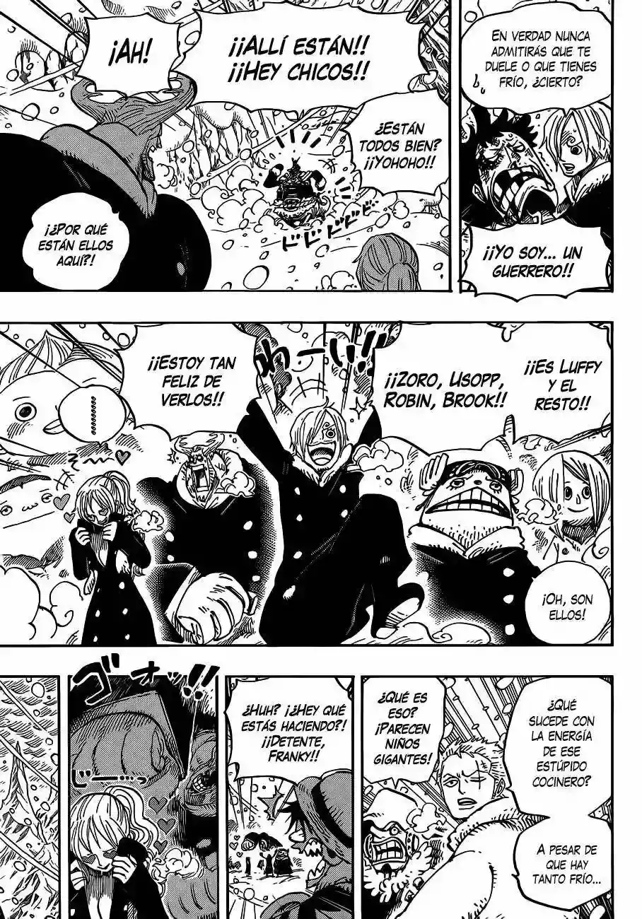 One Piece capítulo 663 página 14