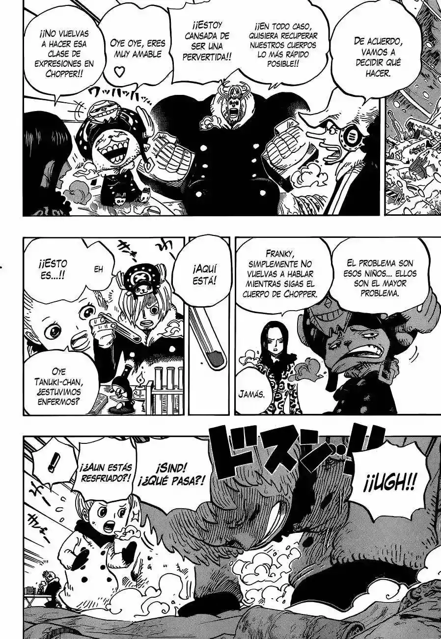 One Piece capítulo 665 página 5