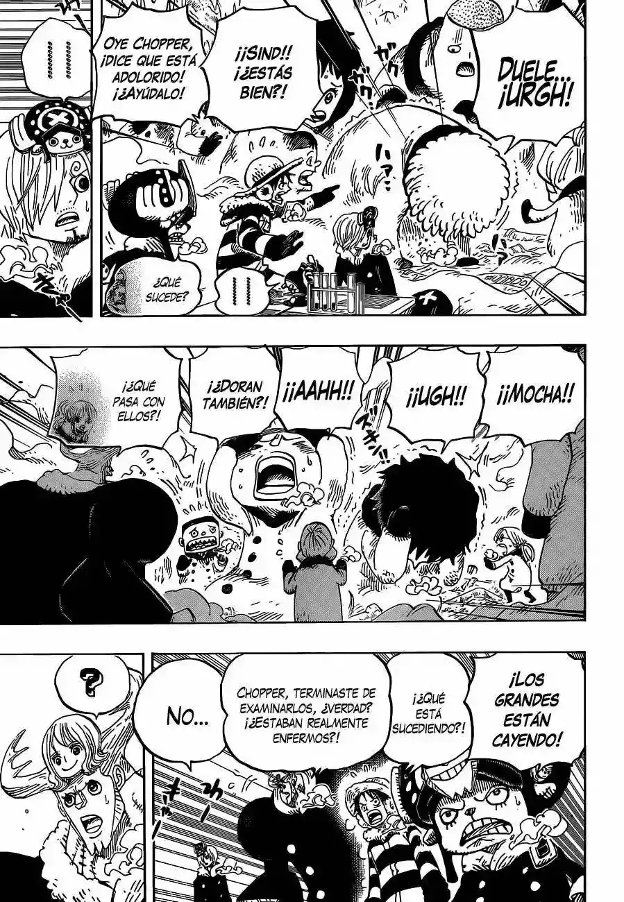 One Piece capítulo 665 página 6