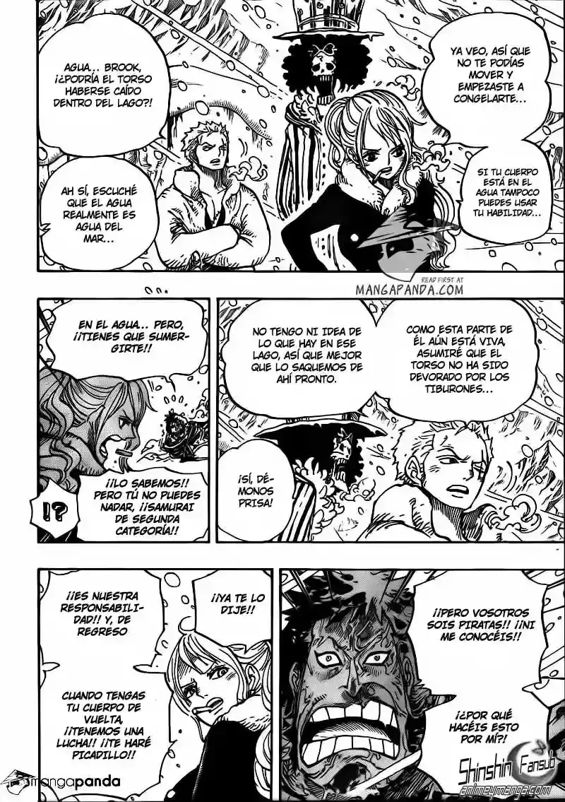 One Piece capítulo 669 página 10