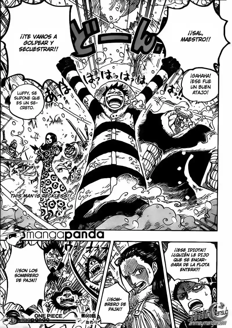 One Piece capítulo 669 página 17