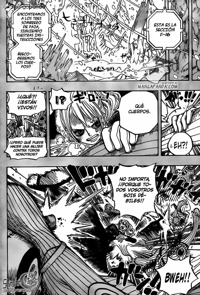 One Piece capítulo 669 página 6