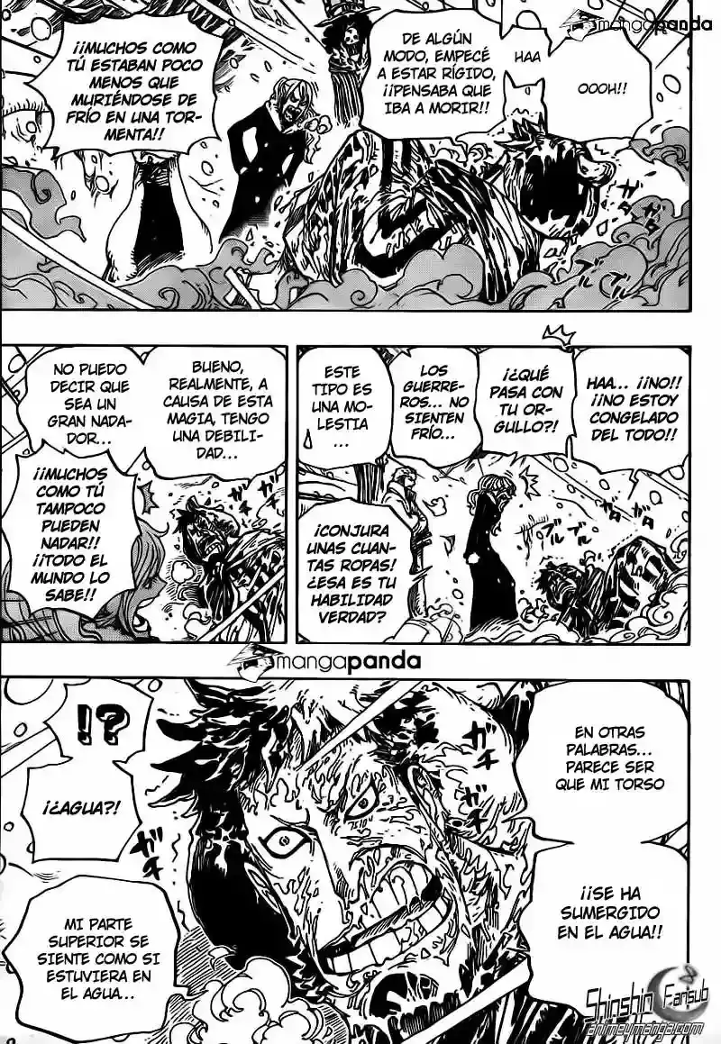One Piece capítulo 669 página 9
