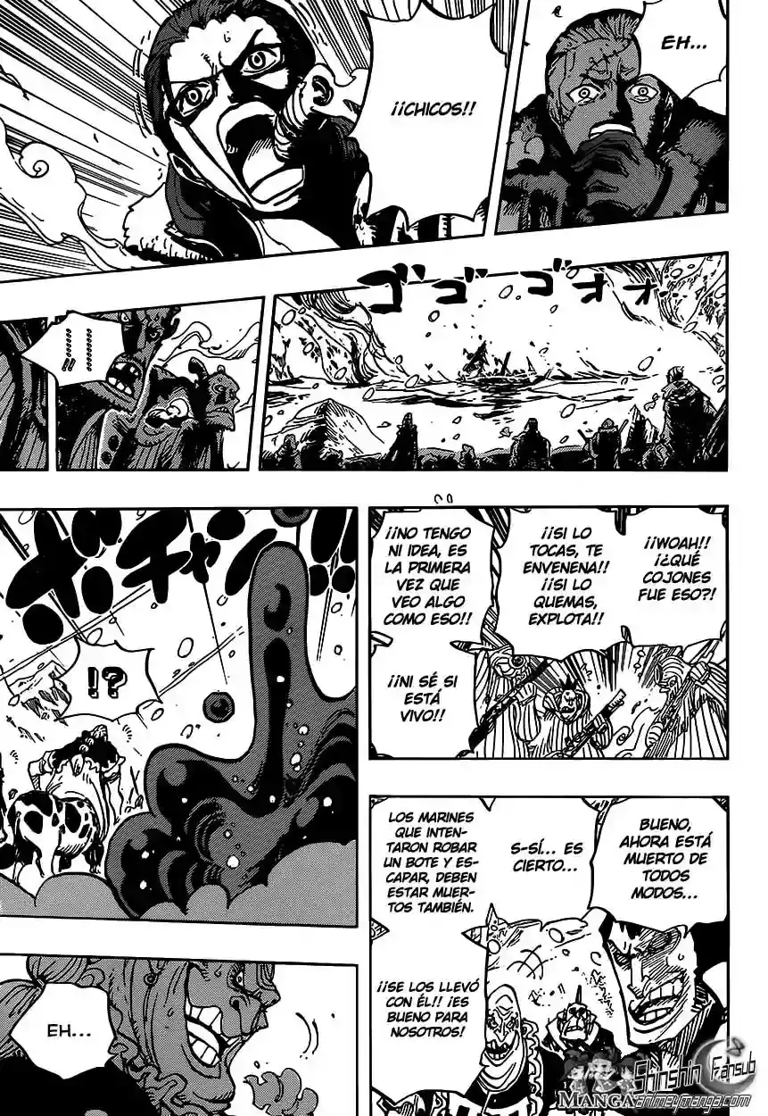 One Piece capítulo 670 página 13