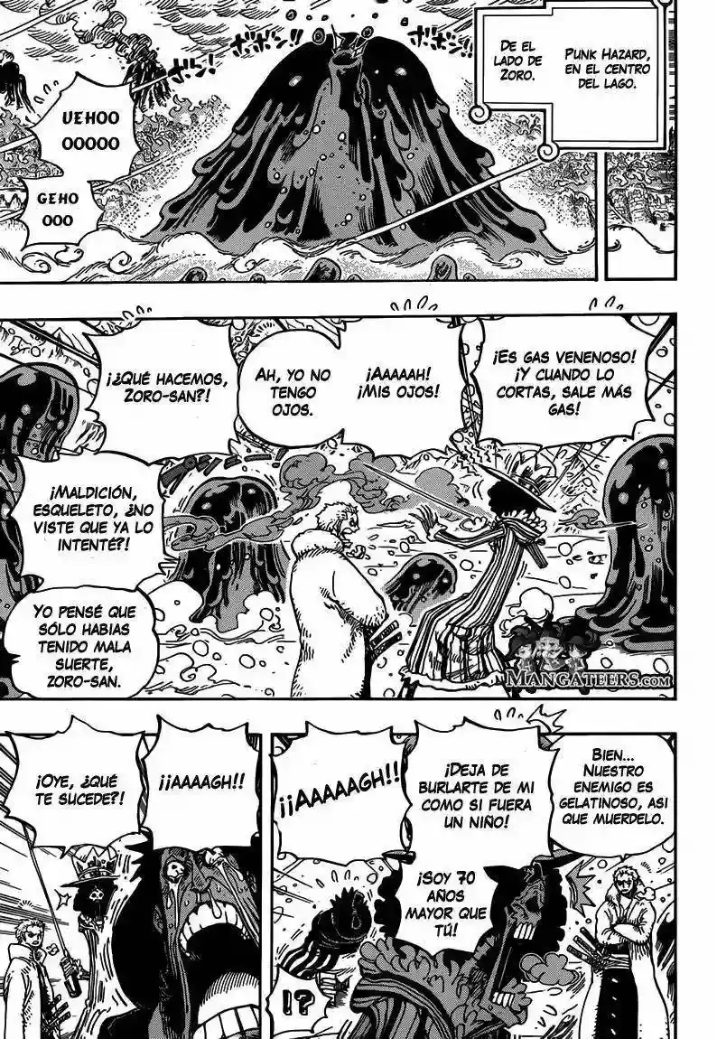 One Piece capítulo 672 página 10