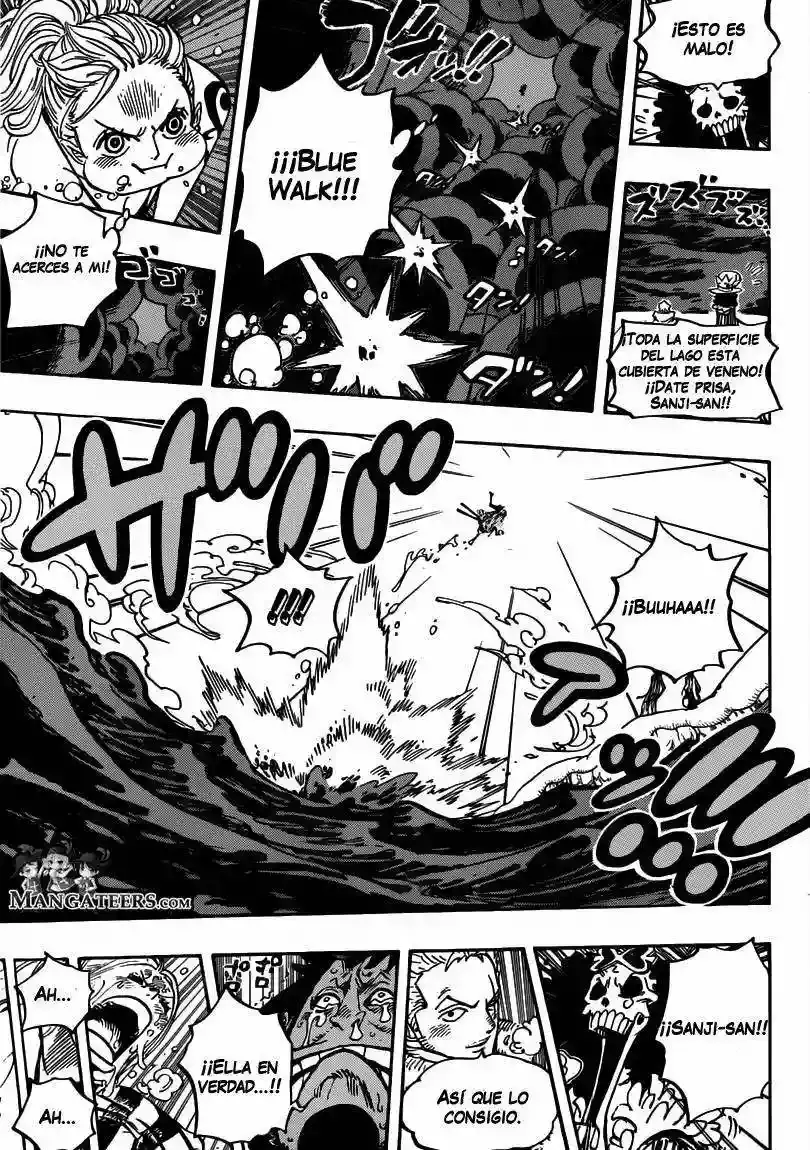 One Piece capítulo 672 página 14