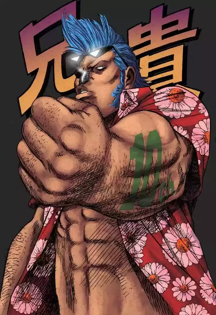 One Piece capítulo 674 página 19