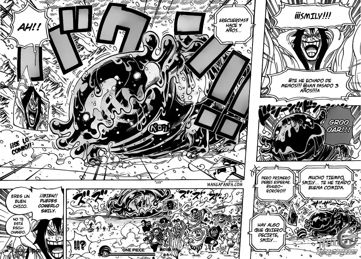 One Piece capítulo 675 página 18