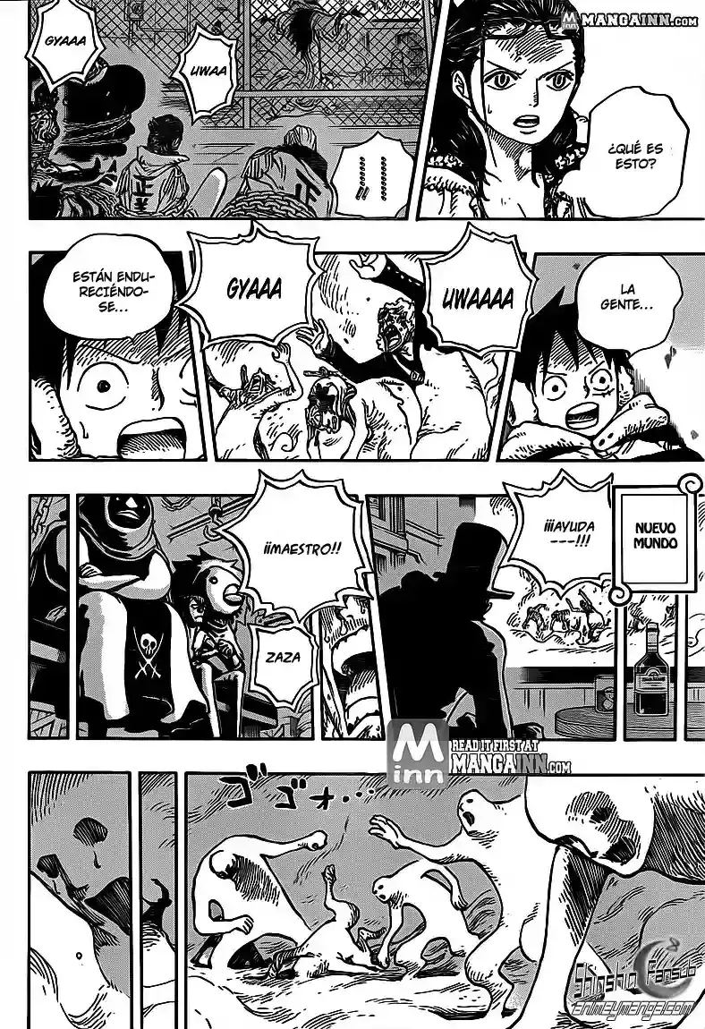 One Piece capítulo 676 página 10