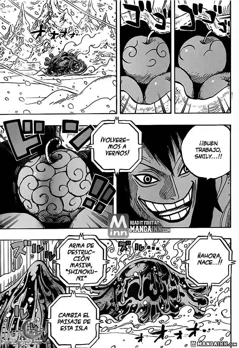 One Piece capítulo 676 página 6