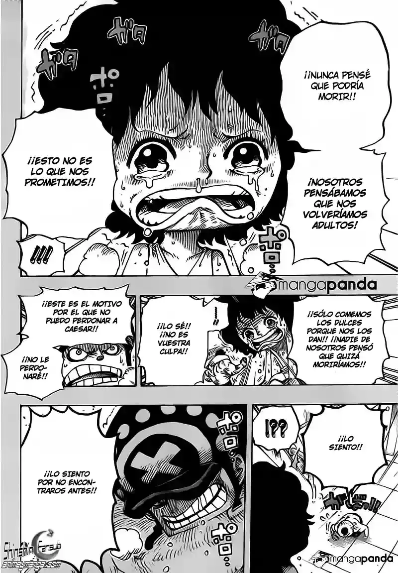 One Piece capítulo 688 página 12