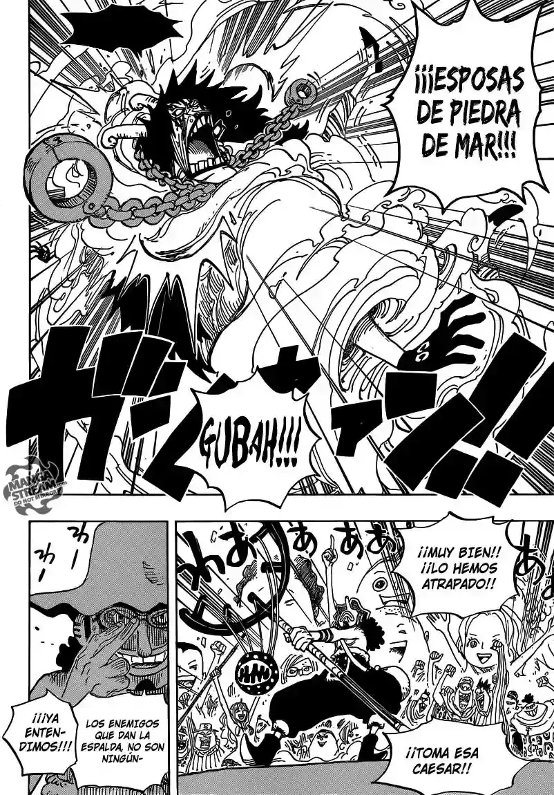 One Piece capítulo 695 página 17