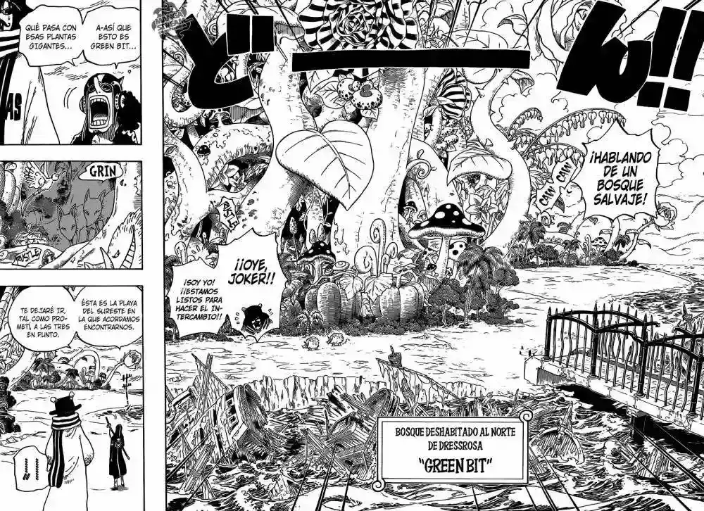 One Piece capítulo 710 página 13