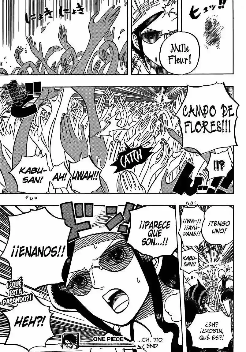 One Piece capítulo 710 página 19