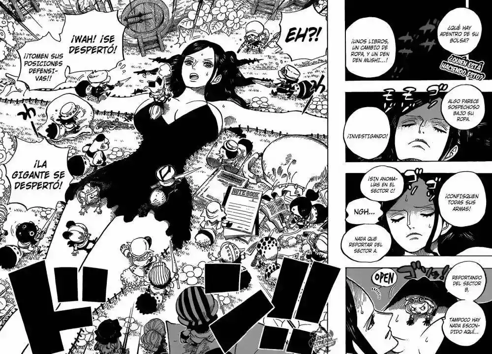 One Piece capítulo 711 página 3