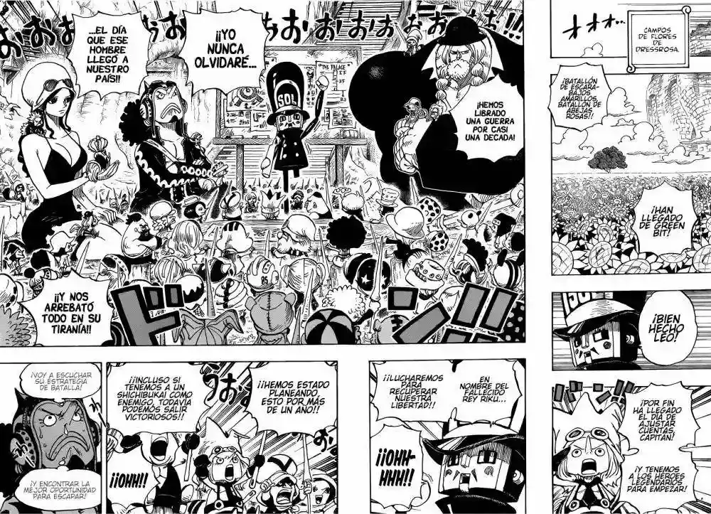 One Piece capítulo 722 página 11
