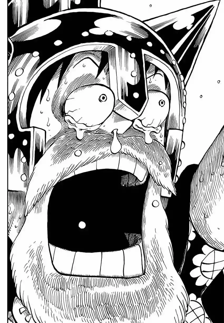 One Piece capítulo 731 página 17