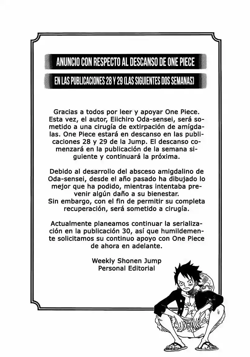 One Piece capítulo 749 página 16