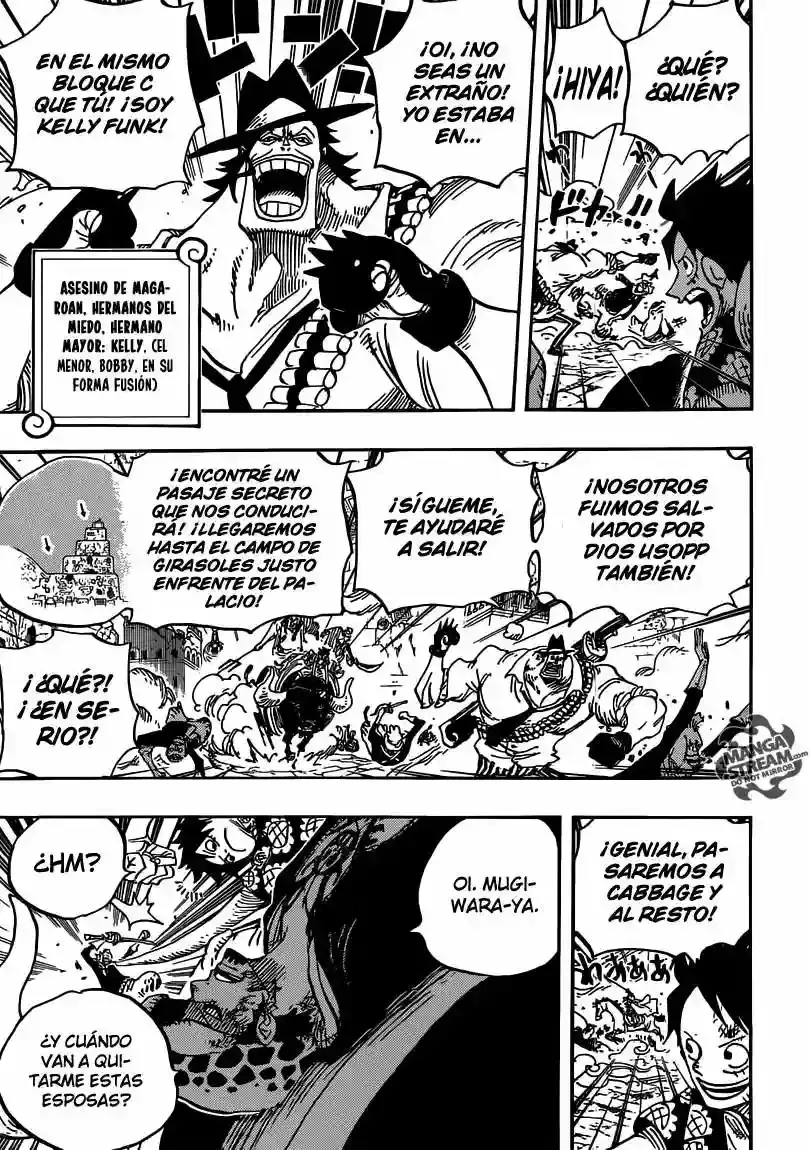 One Piece capítulo 751 página 13