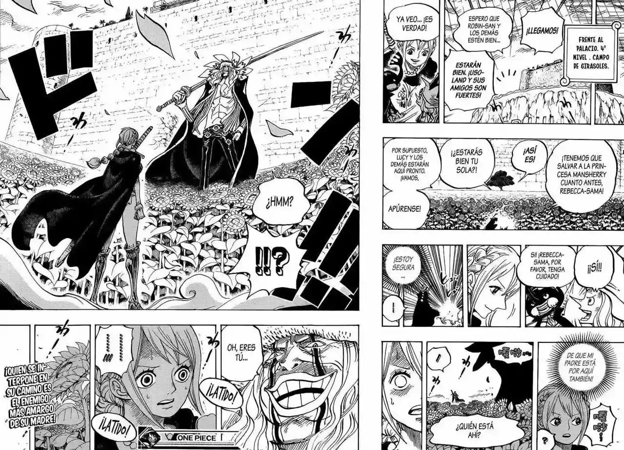 One Piece capítulo 756 página 18