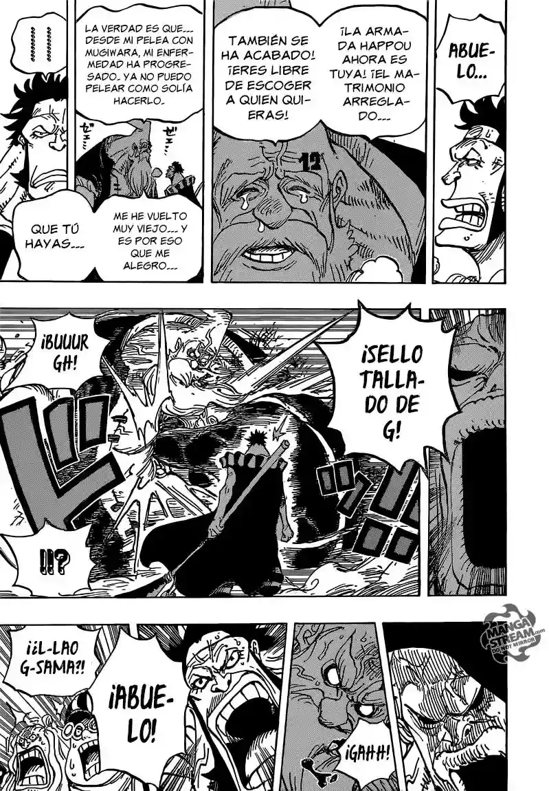 One Piece capítulo 771 página 17