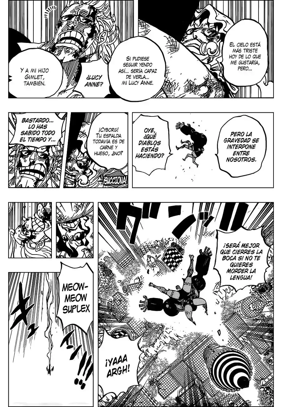 One Piece capítulo 775 página 11