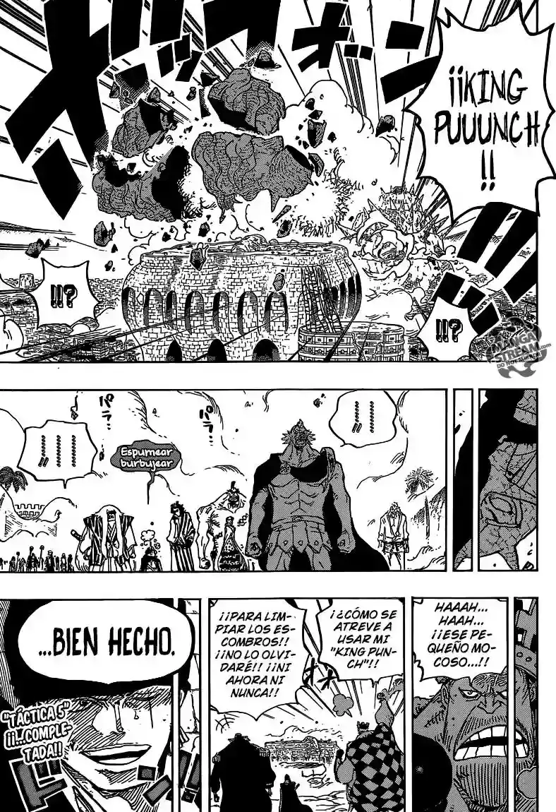 One Piece capítulo 778 página 15