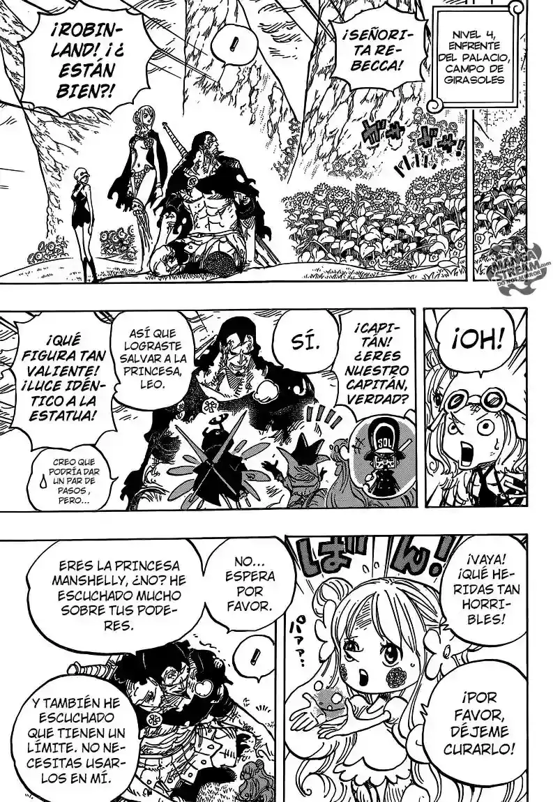 One Piece capítulo 779 página 8