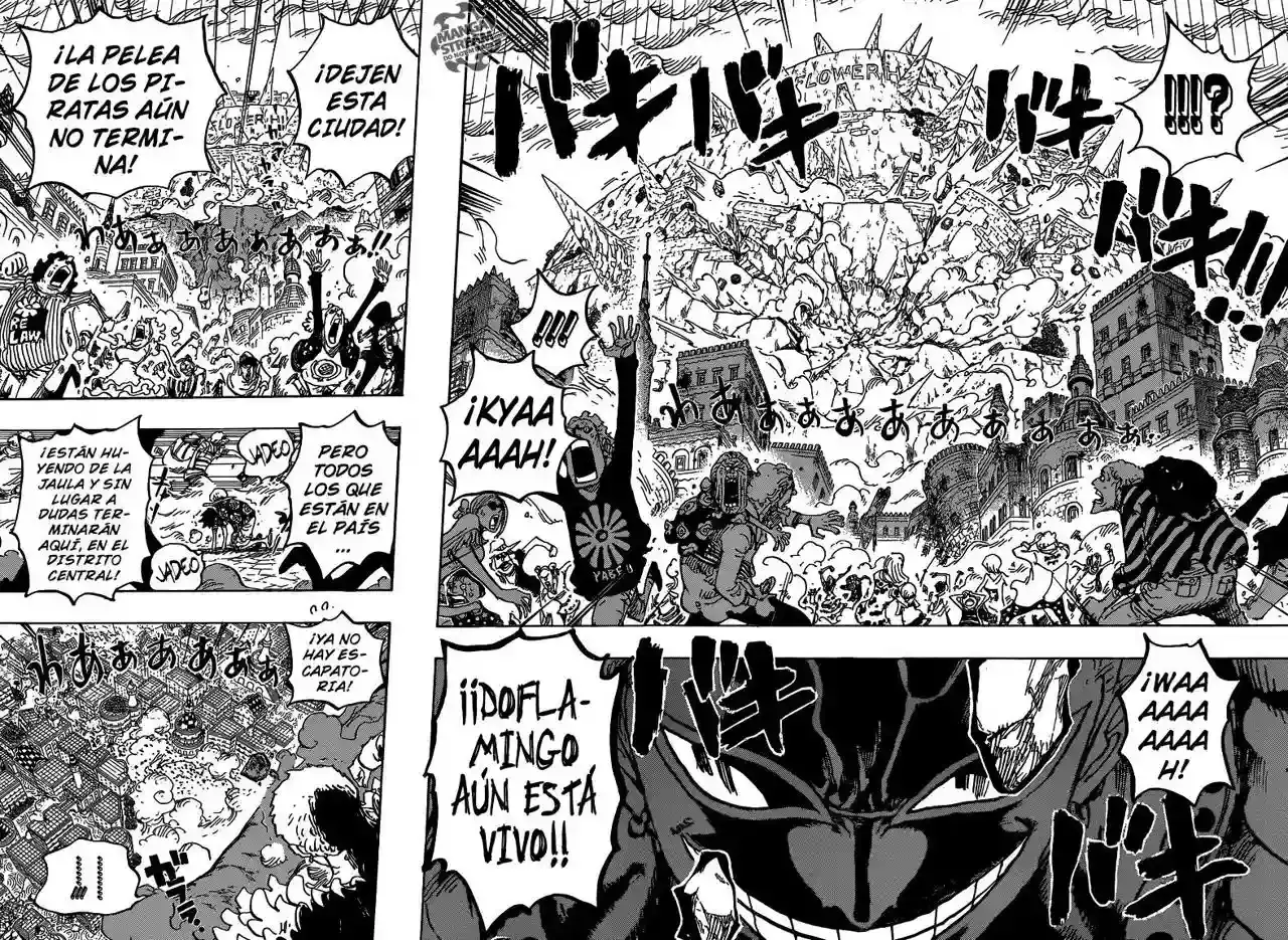 One Piece capítulo 786 página 11