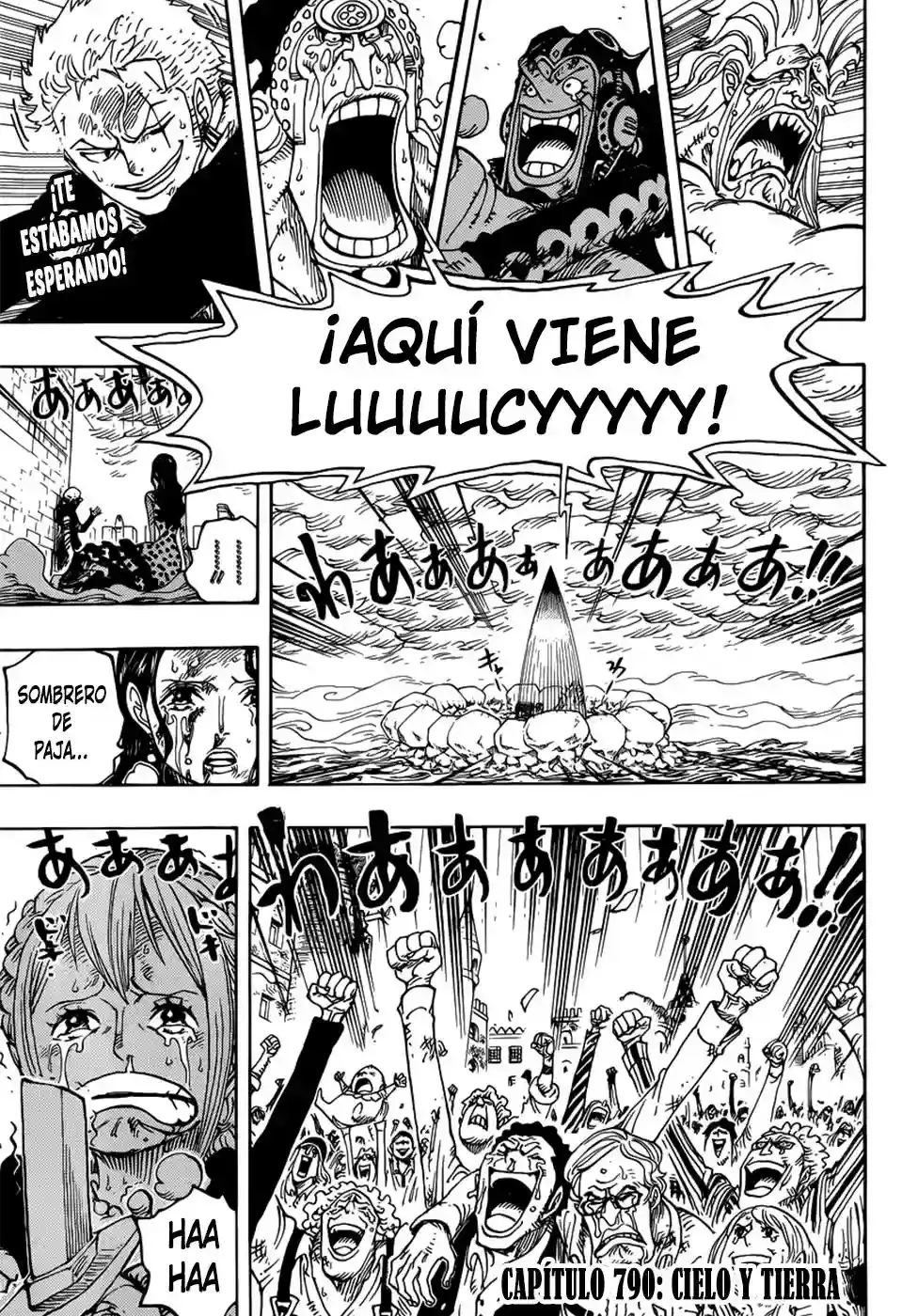 One Piece capítulo 790 página 4