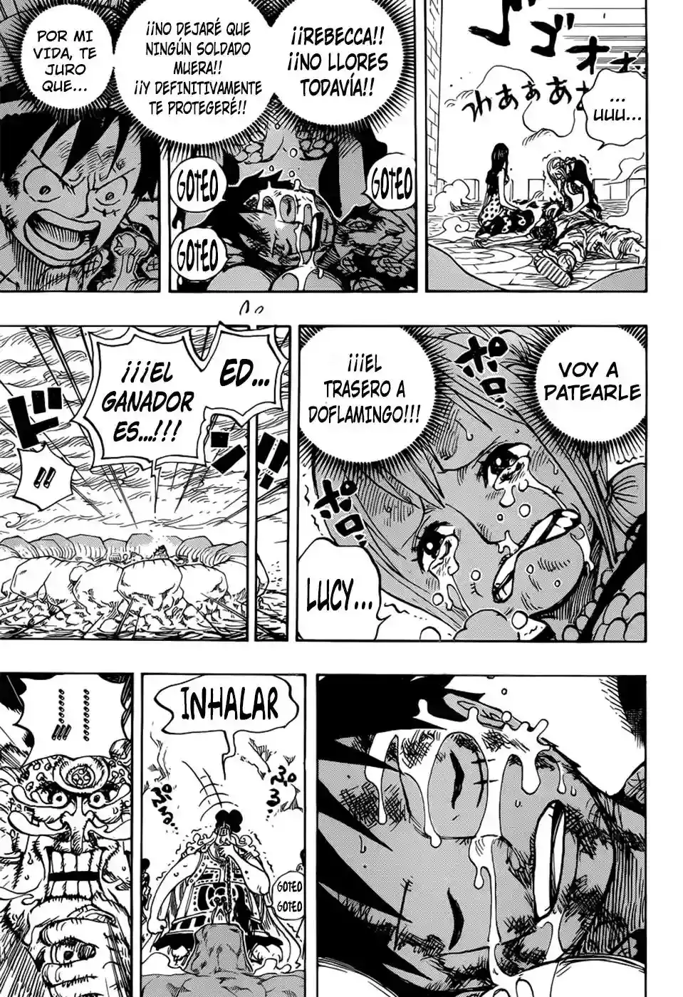 One Piece capítulo 791 página 13